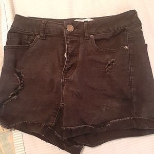 NWOT Mudd Ripped Jean Shorts